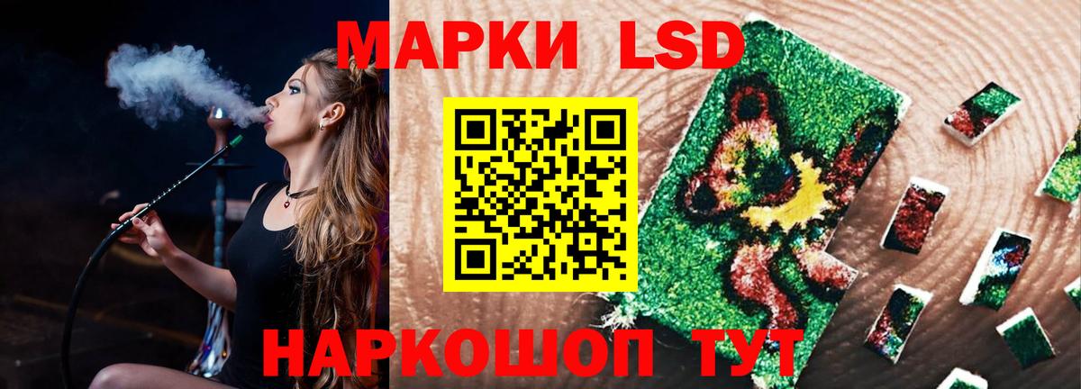 Курчатов  ЛСД экстази ecstasy  LSD-25 экстази  LSD-25 экстази ecstasy  Вход с VPN 