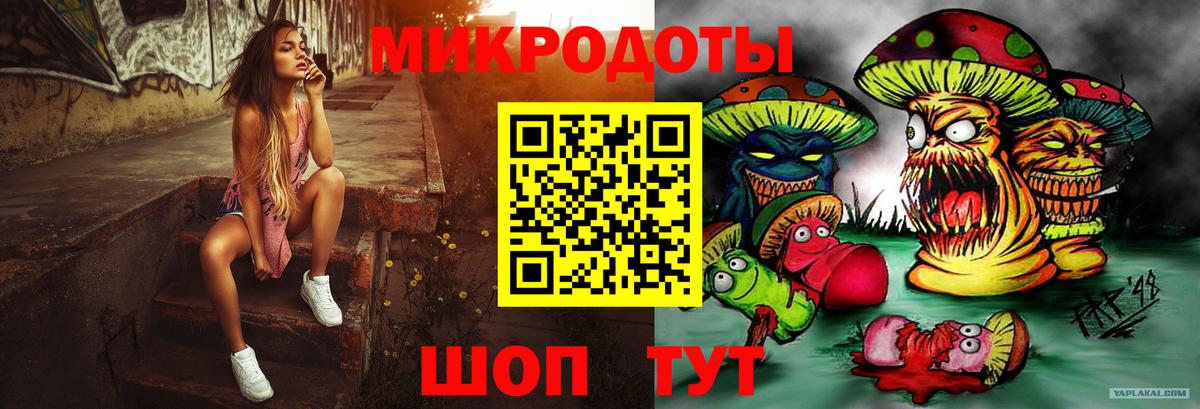 Курчатов  Галлюциногенные грибы GOLDEN TEACHER  цена   Псилоцибиновые грибы Magic Shrooms  Вход с VPN 
